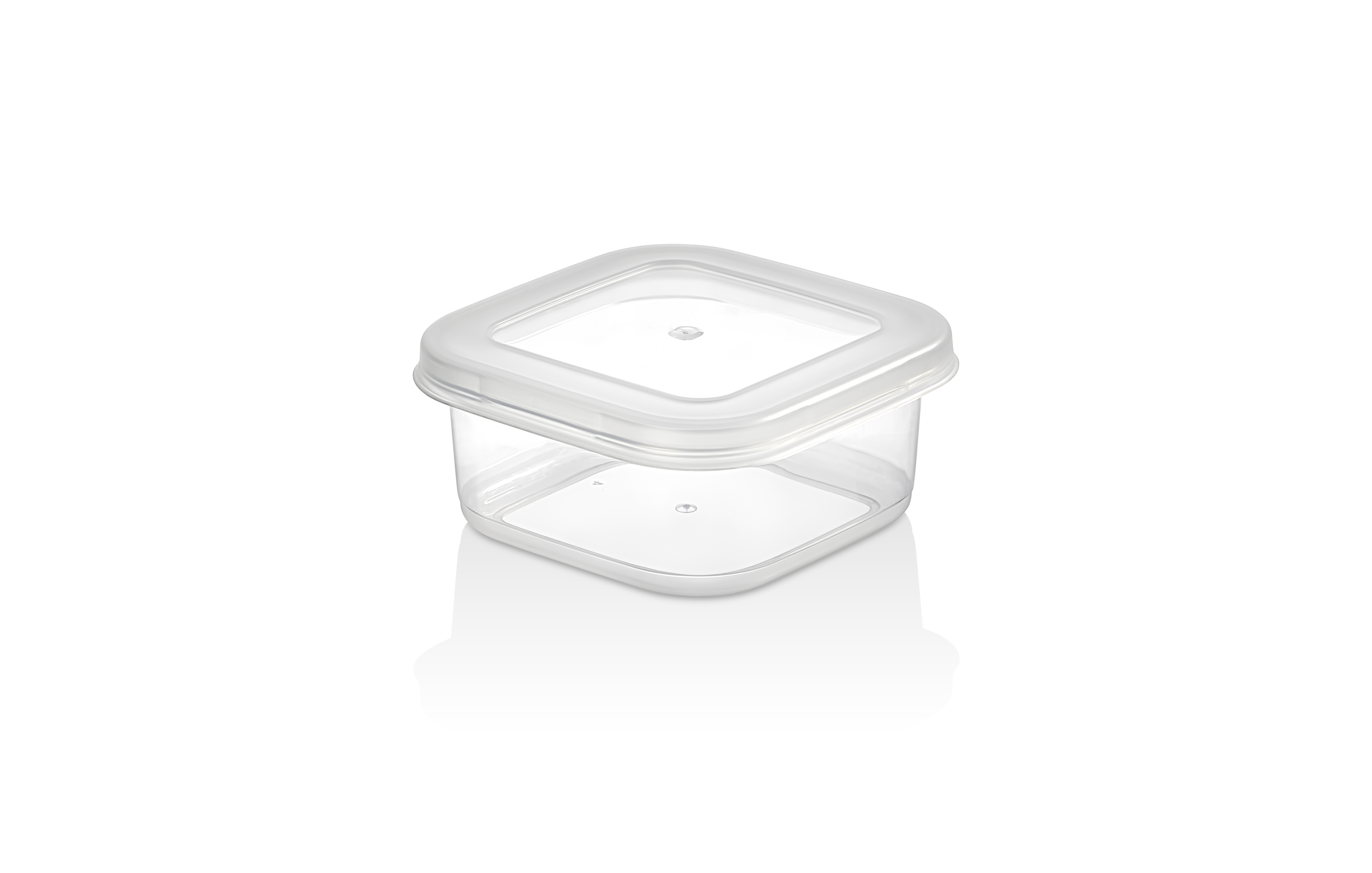 SIMPLE FOOD STORAGE CONTAINER (0,30 Lt.)