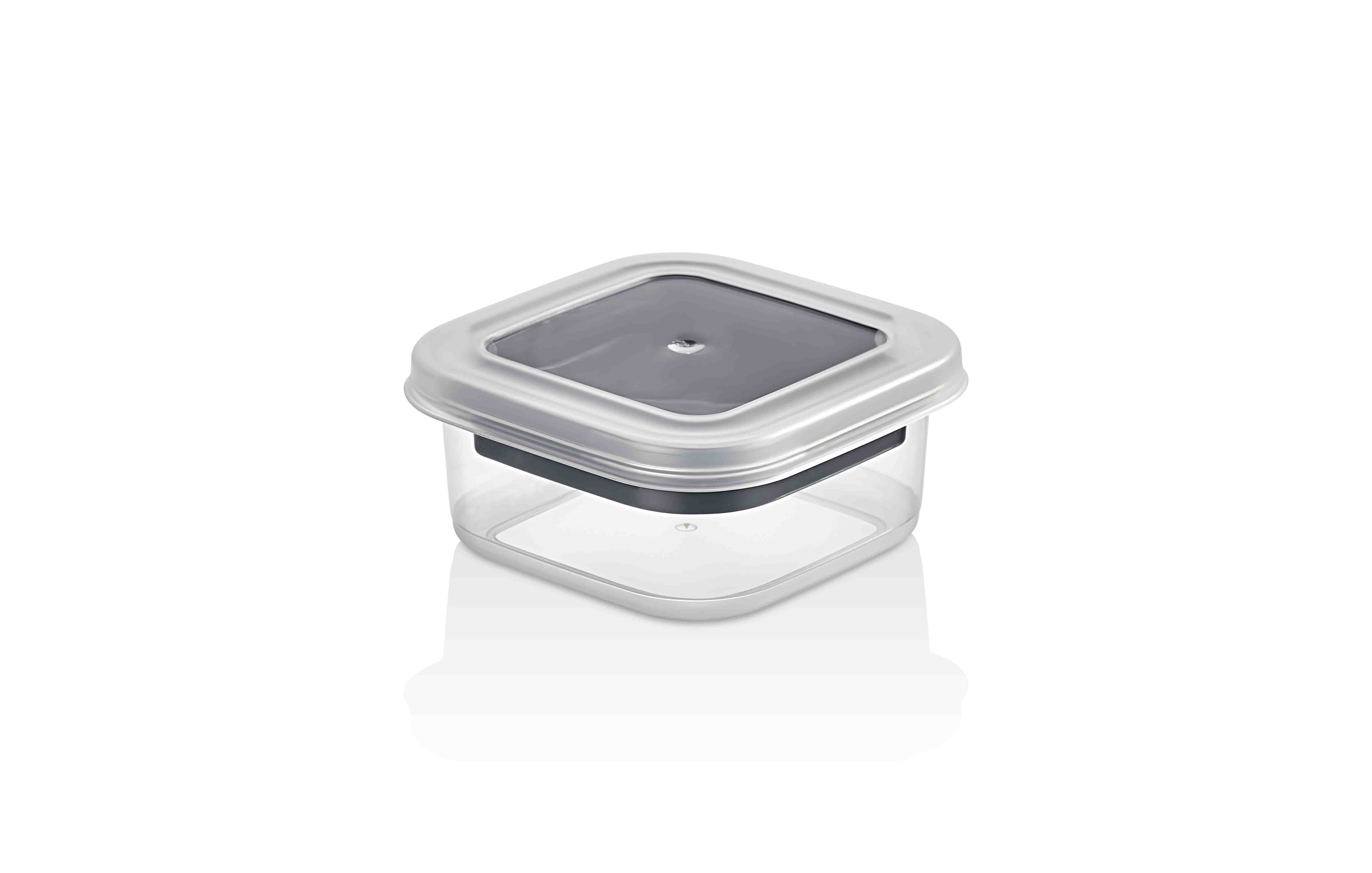SIMPLE COMPARTMENT FOOD STORAGE CONTAINER  (0,30 Lt.)